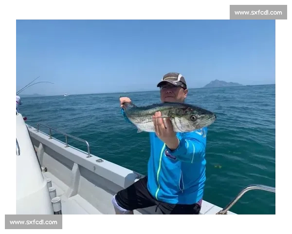 青岛灵山岛爆箱时刻！2 小时钓 40 斤鲈鱼，金秋海钓正当时